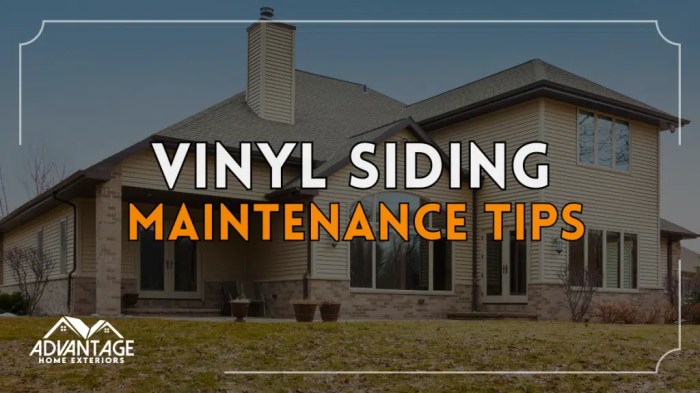 Tips To Clean Vinyl Siding for Your Home