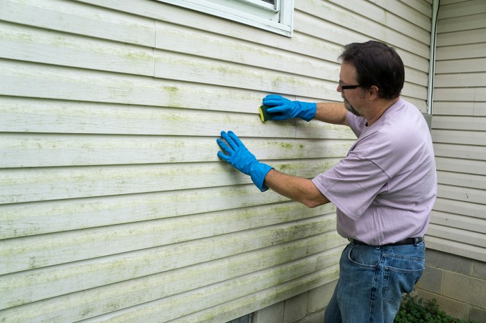 Spring Cleaning: The Best Ways To Clean Vinyl Siding