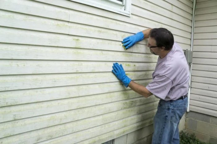 How to remove mold from vinyl siding