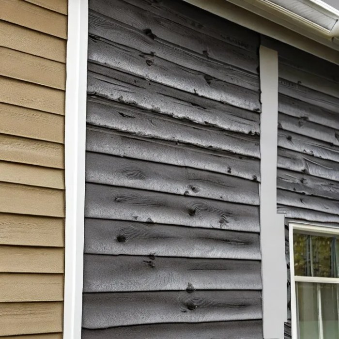 Why Mold Grows on Your Vinyl Siding and How to Remove It