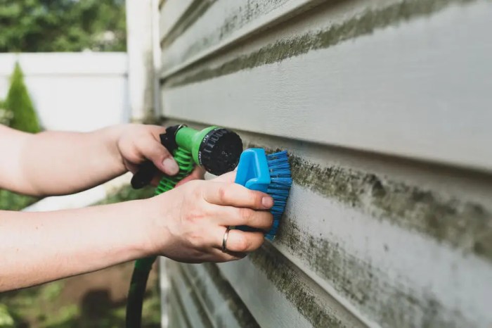 How To Clean Vinyl Siding? (5 Step Guide)