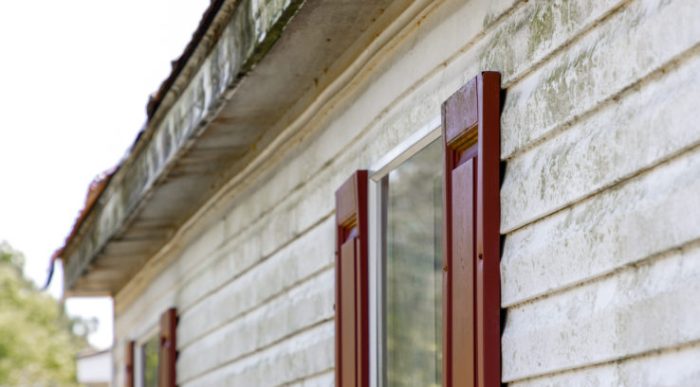 How To Prevent Mold On Vinyl Siding