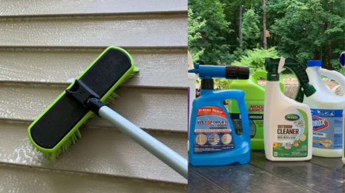 How to Clean Vinyl Siding: Step-by-Step Instructions With Photos